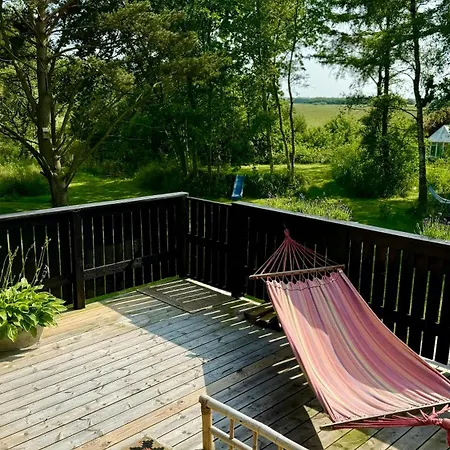 Wooden House With Animals And Kayaks Near